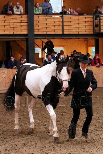 PAS06_0379.jpg