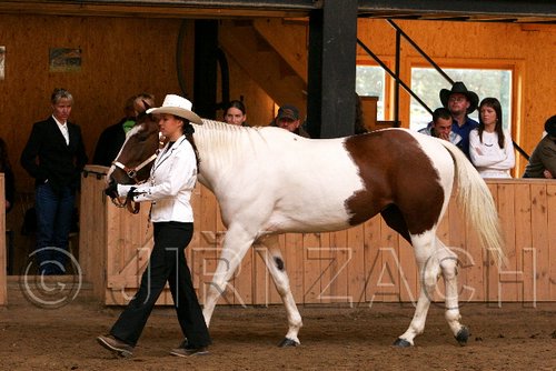 PAS06_0387.jpg