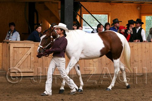 PAS06_0421.jpg
