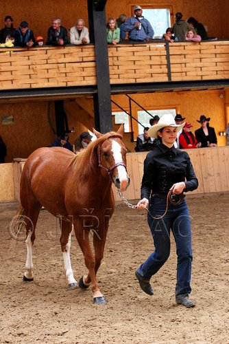 PAS06_0458.jpg