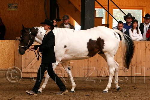 PAS06_0461.jpg