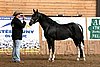 PAS06_0020.jpg