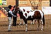 PAS06_0024.jpg
