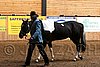 PAS06_0025.jpg