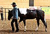 PAS06_0026.jpg