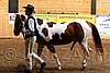 PAS06_0028.jpg