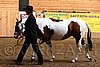 PAS06_0029.jpg