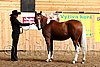 PAS06_0065.jpg