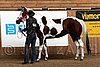 PAS06_0072.jpg