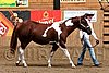 PAS06_0076.jpg