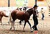 PAS06_0077.jpg