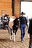 PAS06_0079.jpg