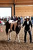 PAS06_0086.jpg