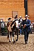 PAS06_0087.jpg