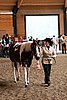 PAS06_0093.jpg