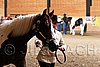 PAS06_0094.jpg