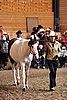 PAS06_0095.jpg