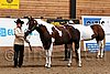 PAS06_0098.jpg