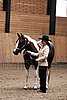 PAS06_0099.jpg