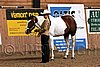 PAS06_0105.jpg