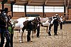 PAS06_0116.jpg