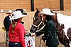 PAS06_0123.jpg