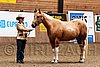 PAS06_0128.jpg