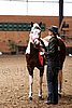 PAS06_0131.jpg