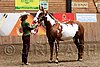 PAS06_0132.jpg