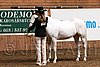 PAS06_0144.jpg