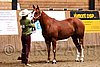 PAS06_0145.jpg