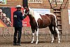 PAS06_0148.jpg