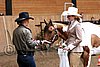 PAS06_0160.jpg