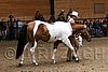 PAS06_0164.jpg