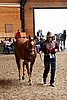 PAS06_0170.jpg