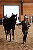PAS06_0173.jpg