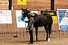 PAS06_0177.jpg