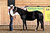 PAS06_0179.jpg