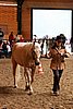 PAS06_0188.jpg
