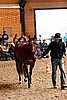 PAS06_0189.jpg