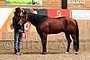 PAS06_0196.jpg
