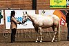PAS06_0198.jpg