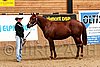 PAS06_0200.jpg