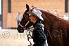 PAS06_0204.jpg