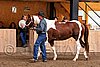 PAS06_0375.jpg