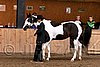 PAS06_0376.jpg
