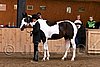 PAS06_0377.jpg