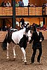 PAS06_0379.jpg
