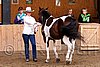 PAS06_0383.jpg