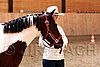 PAS06_0384.jpg
